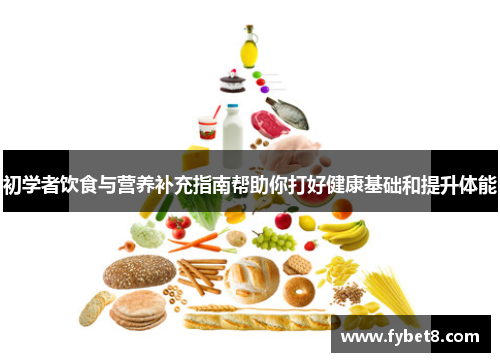 初学者饮食与营养补充指南帮助你打好健康基础和提升体能
