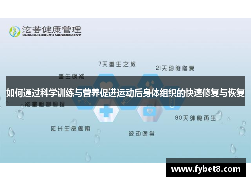 如何通过科学训练与营养促进运动后身体组织的快速修复与恢复