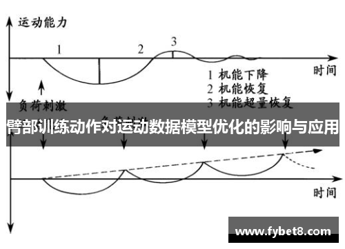 臂部训练动作对运动数据模型优化的影响与应用